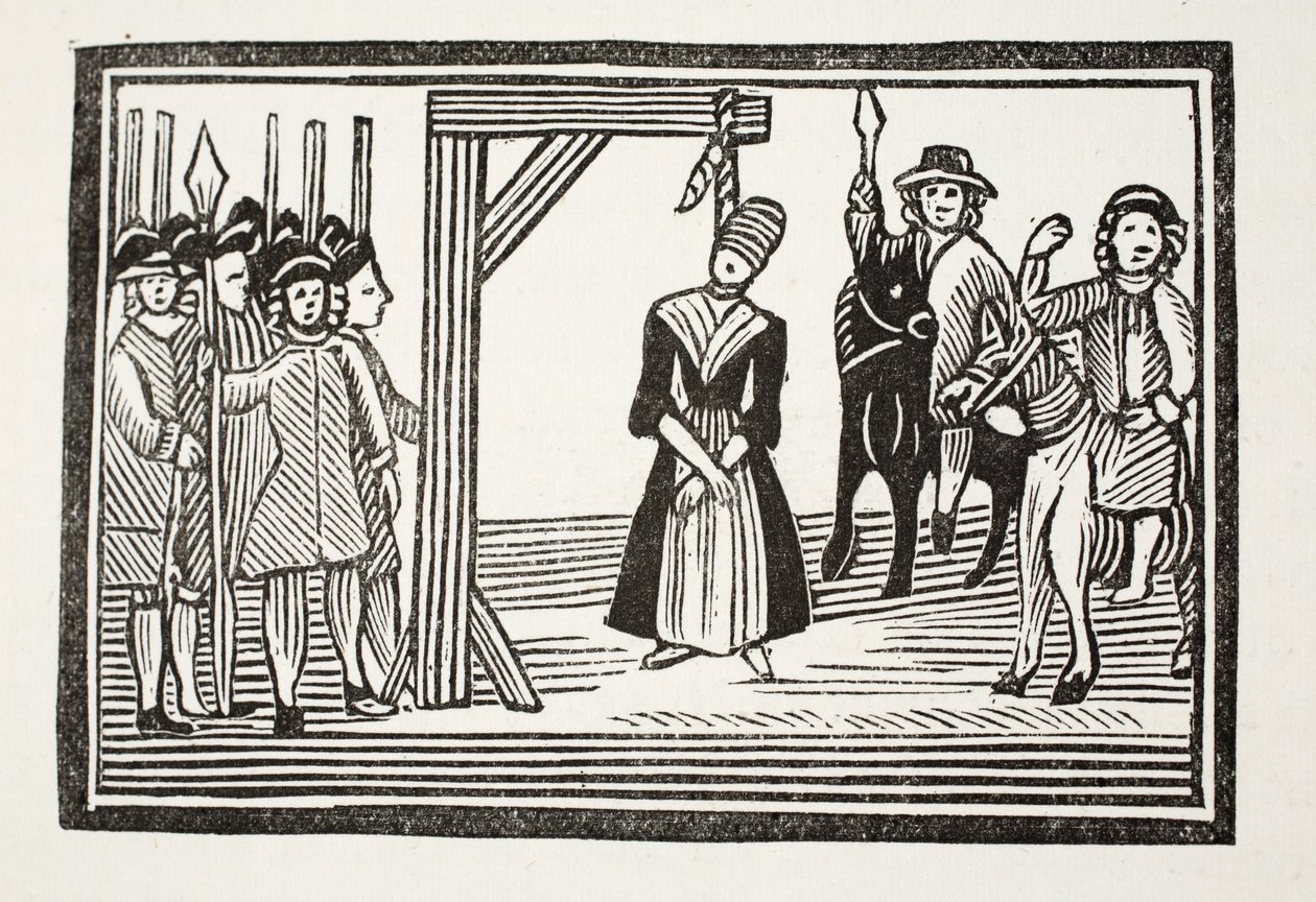 The Whole Life and Adventures of Miss Davis, comummente chamado The Beauty in Disguise, ilustração de 
