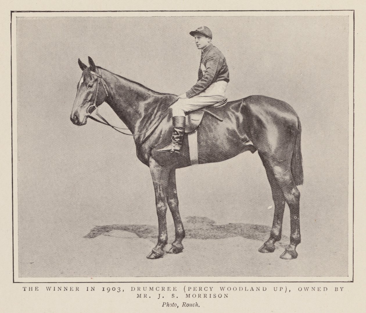 Drumcree, vencedor do Grand National de 1903 (fotografia a preto e branco) de (after) English photographer