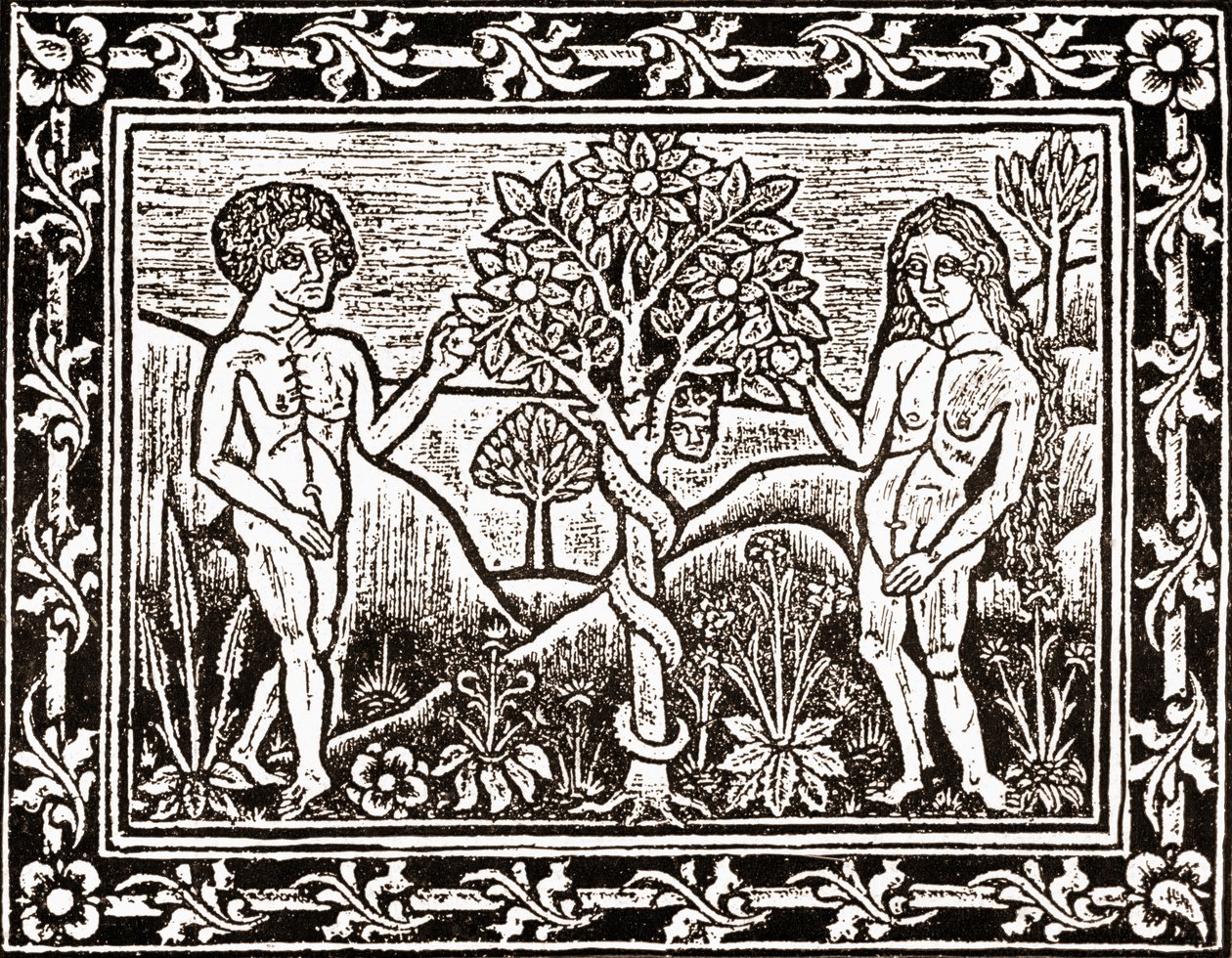 A árvore da qual Adão comeu a maçã, facsimilie de um livro de meditação, o primeiro livro impresso em Albi, Languedoc, em 1481 de (after) French School