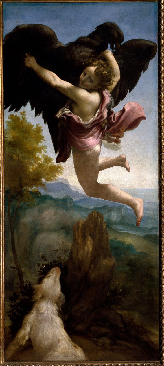 TheAbduction of Ganymede (pintura, c.1531) de (c.1489 1534) Correggio