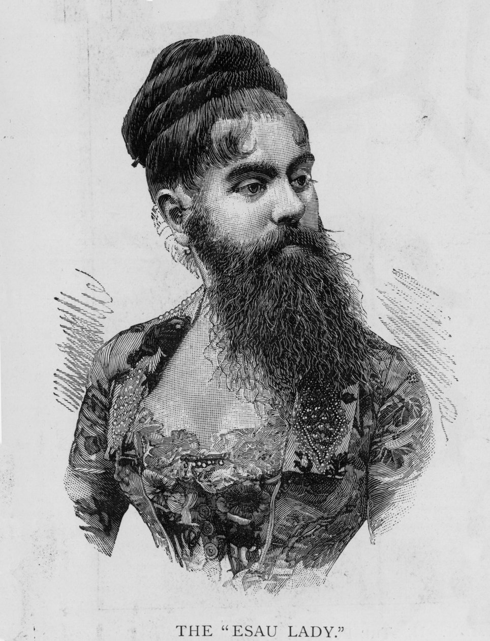 Annie Jones, conhecida como a Senhora Esau, 1893 de Unknown