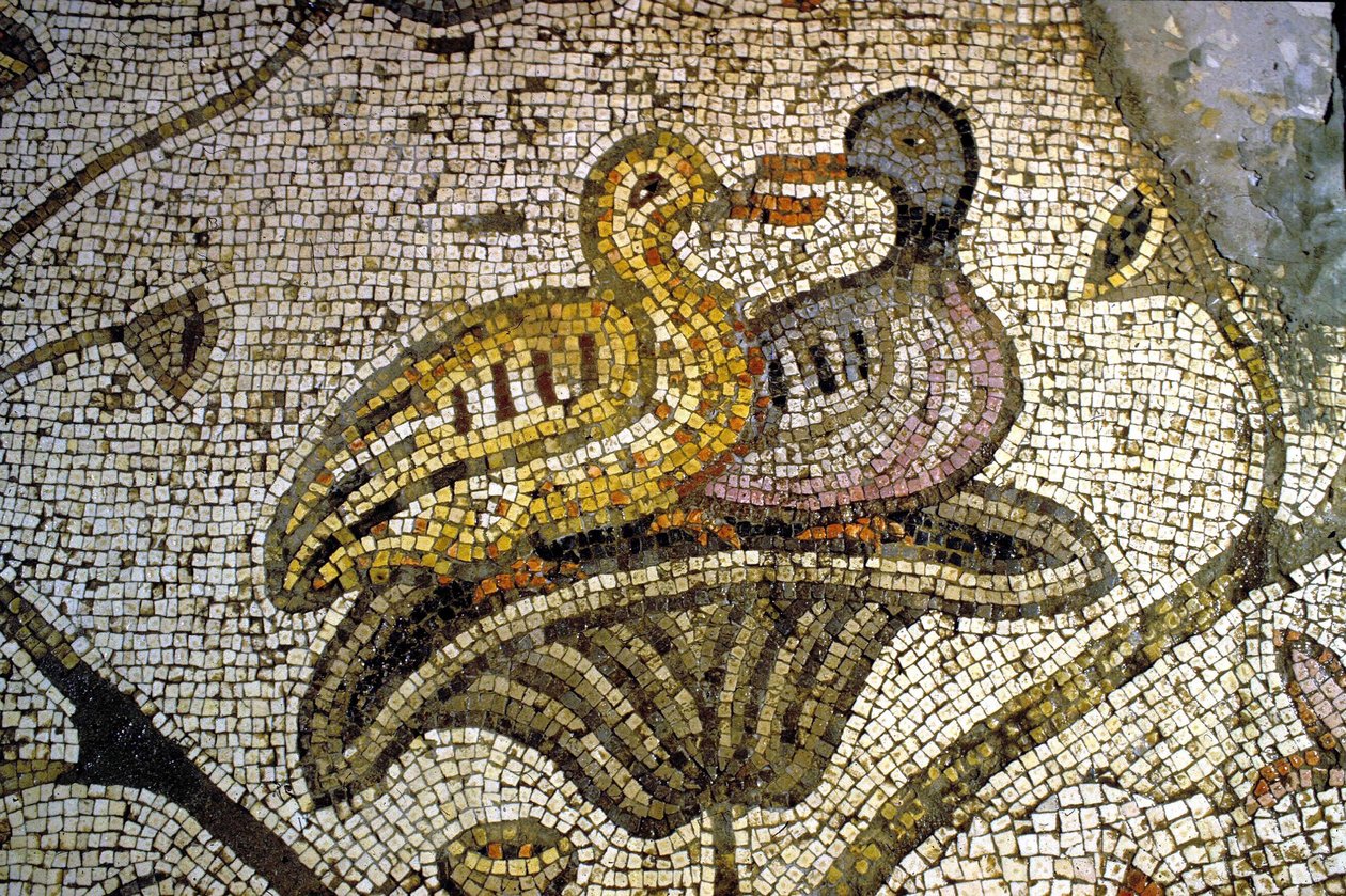 Detalhe do Mosaico Tabgha de Unknown