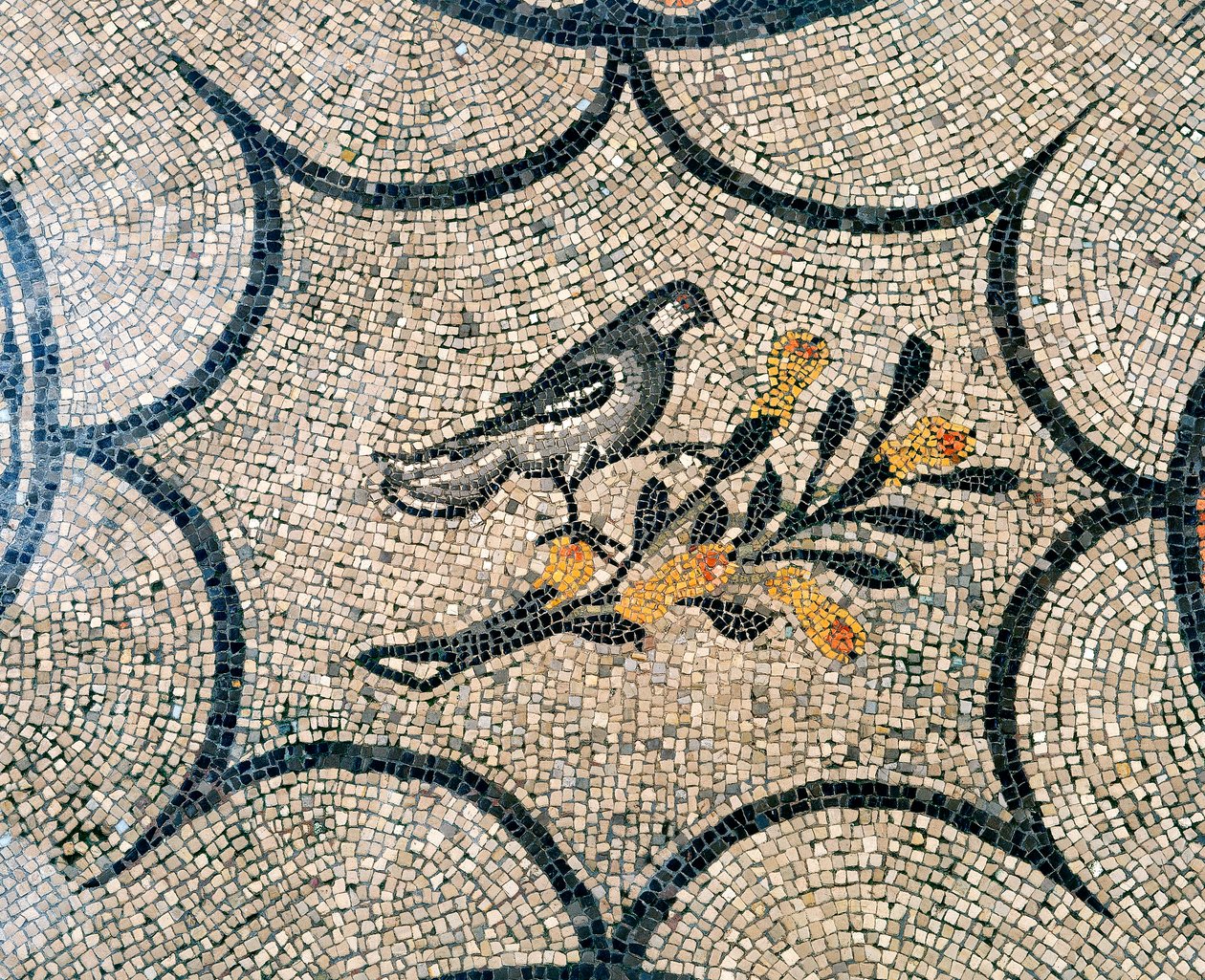 Detalhe, de, chão, de, a, cedo, cristão, basílica, de, Aquileia, udine de Unknown