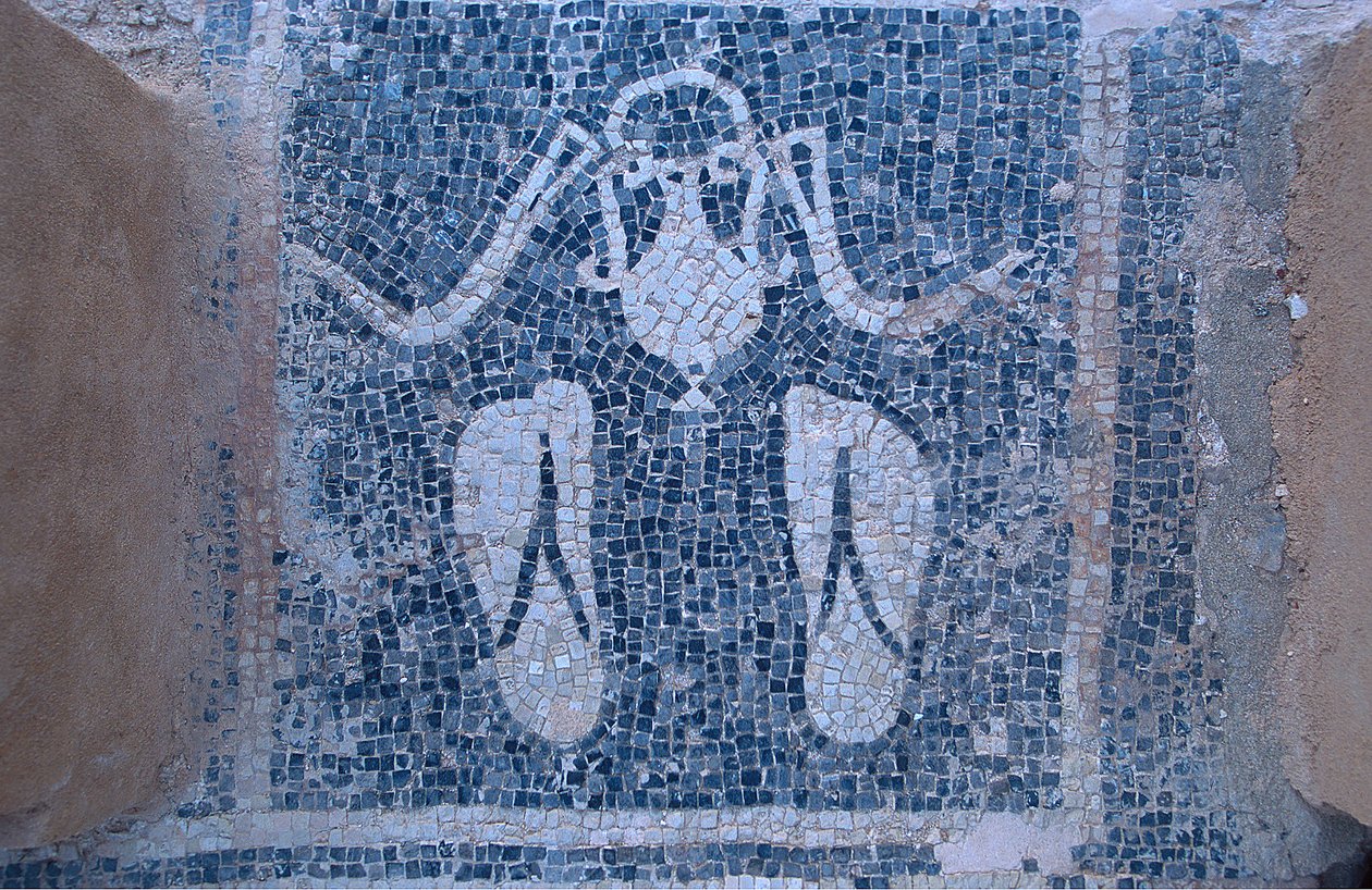 Mosaico dos banhos termais (mosaico) de Unknown