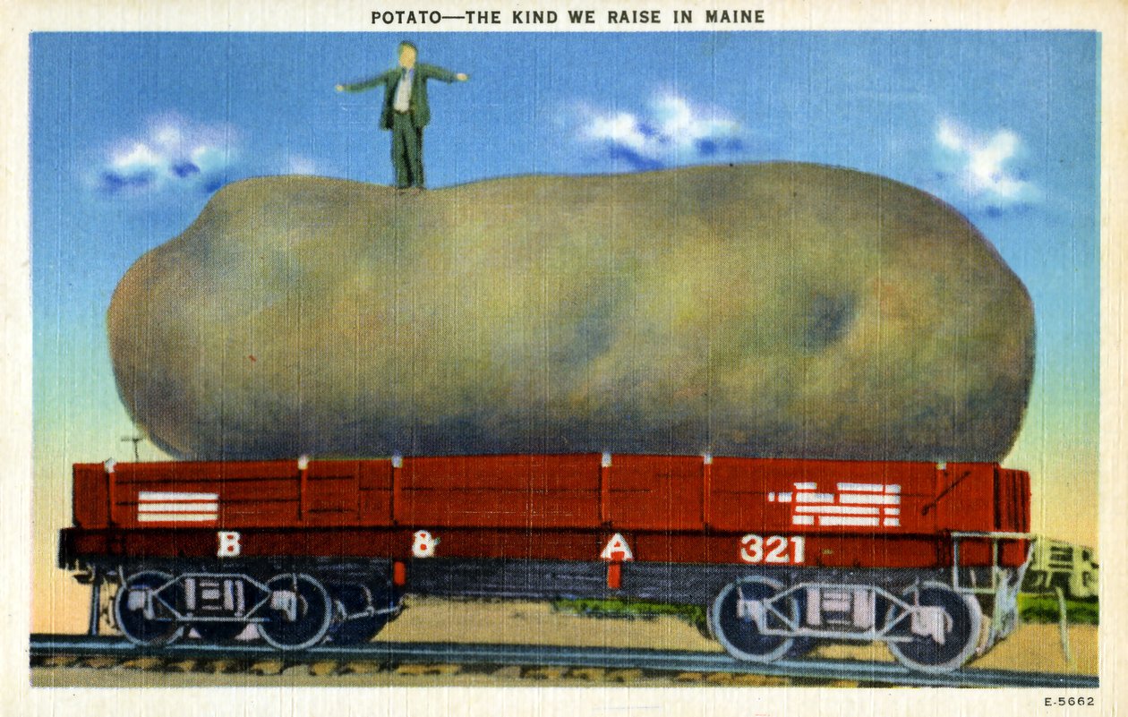 Cartão postal de exagero vintage c.1940 de Unknown