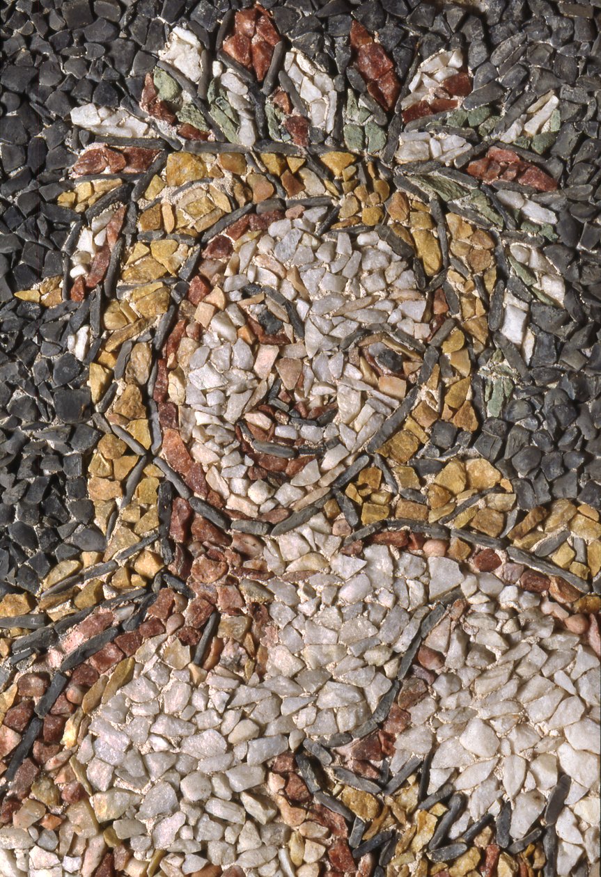 Decoração parede, Nymphaeum, em, vila, Litta, Visconti, Borromeo, Arese, Lainate, lombardy, itália de Unknown