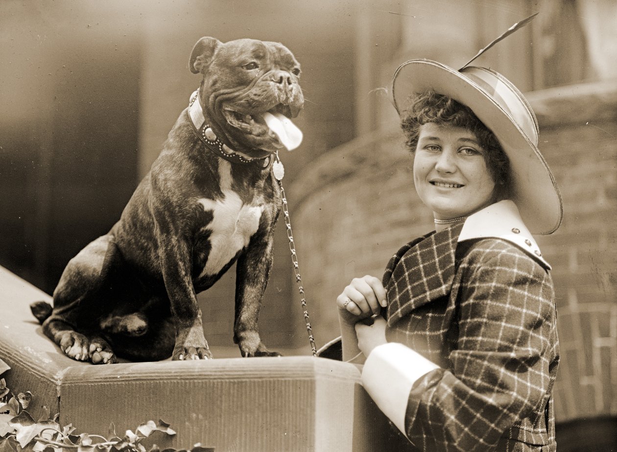 Moça e seu bull terrier c.1915 de Unknown