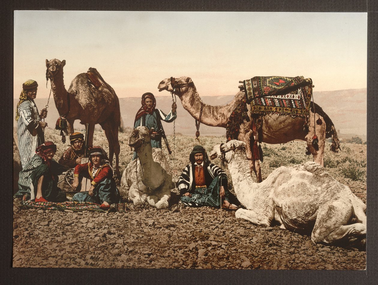 Trem do camelo no deserto que tem um descanso, bar. 1895 de American Photographer