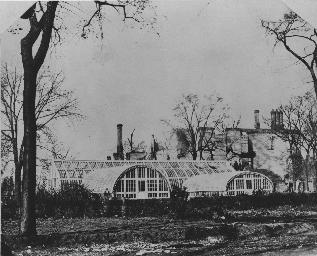 Residência e conservatório de Ezra B. McCaggs após o incêndio de Chicago de 1871, 1871 de American Photographer