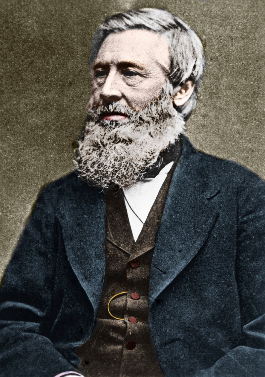 Retrato de Asa Gray (1810-1888), botânico americano. c1884. de American Photographer