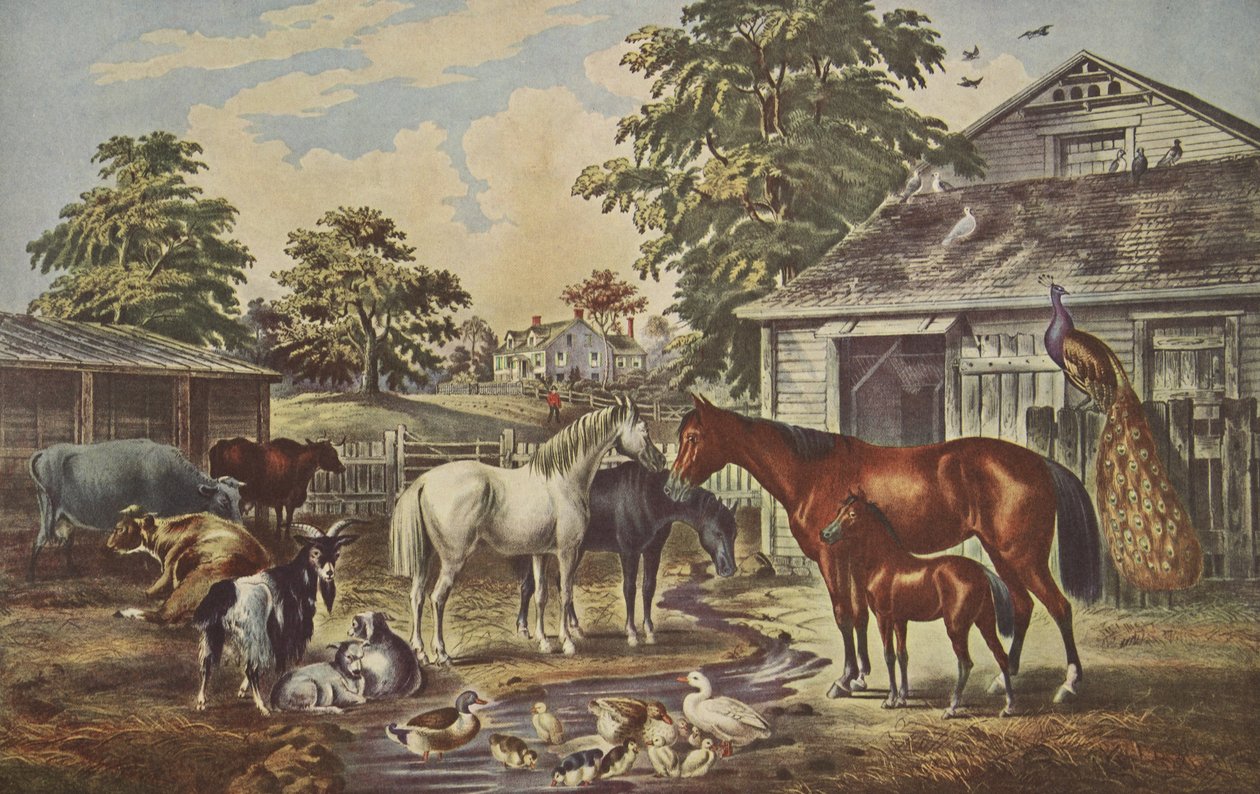American Farm Yard - Manhã, pub. 1857, Currier & Ives de American School