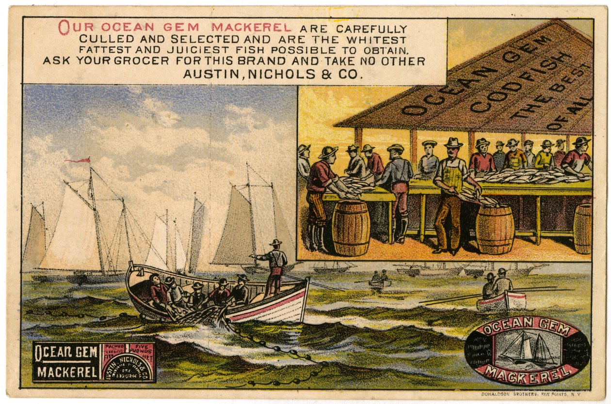Austin, Nichols & Co. Oceano Gem Mackerel, cartão de comércio recto., (Cor litho [cartão de comércio]) de American School
