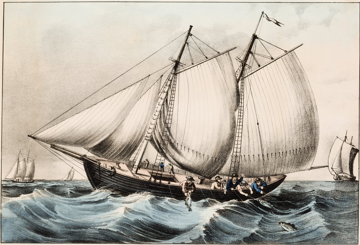 Pesca do bacalhau fora de Terra Nova, bar. 1872 de American School