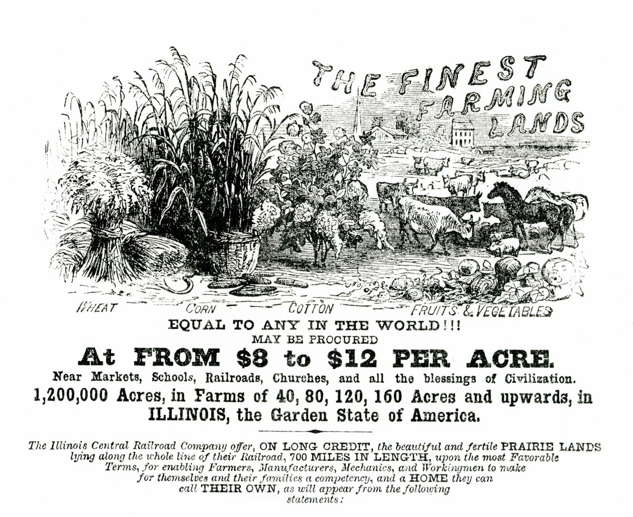 Terra de propaganda de folheto de Illinois para venda de American School