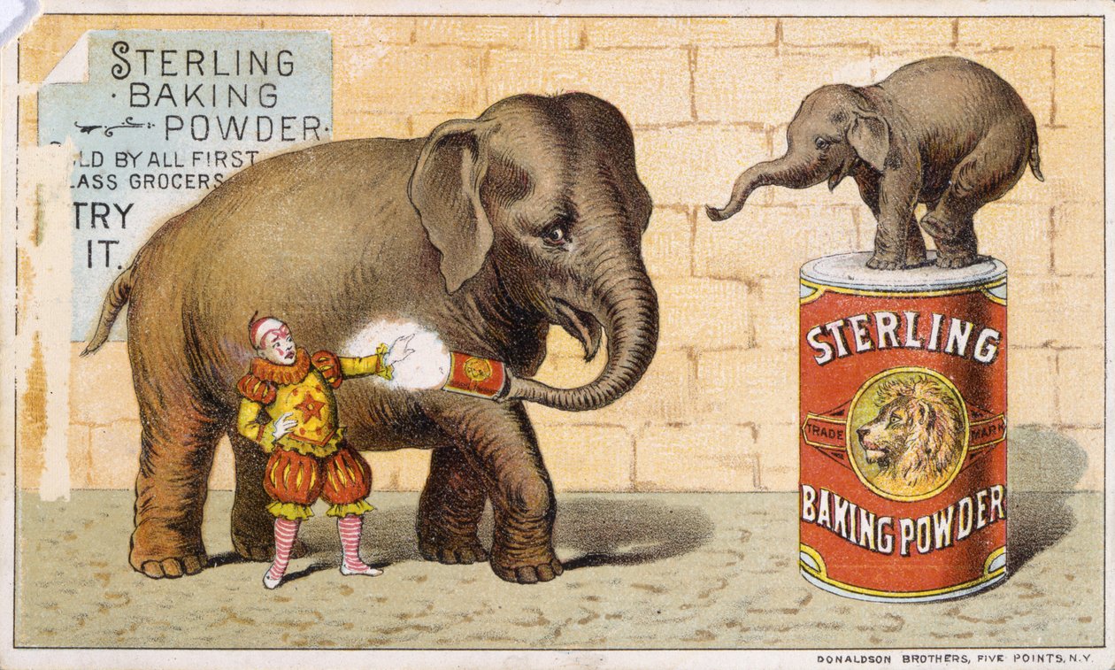 Fermento em pó esterilizado (cor litho [tradecard]) de American School
