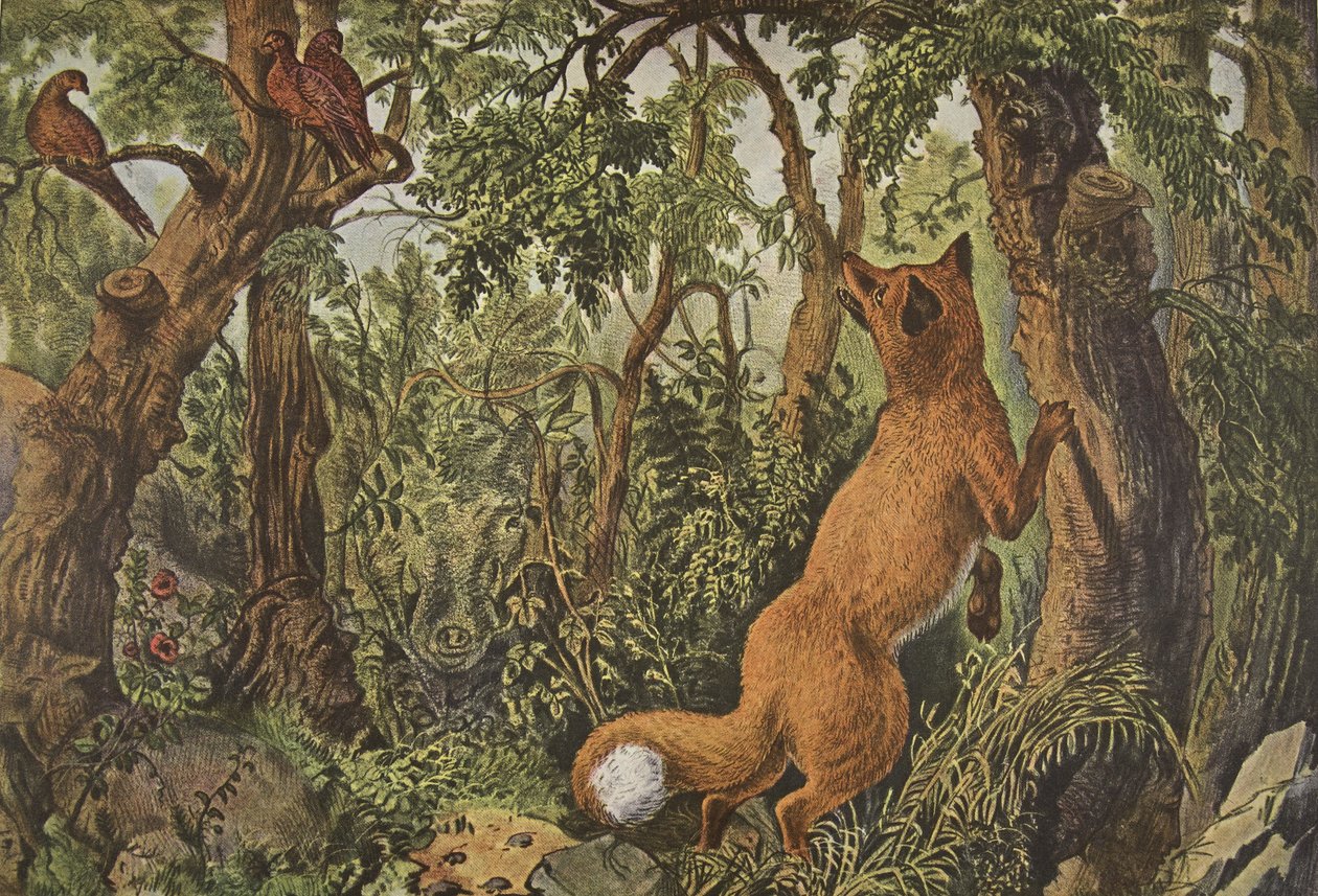 A Raposa Confusa, pub. 1872, Currier & Ives de American School