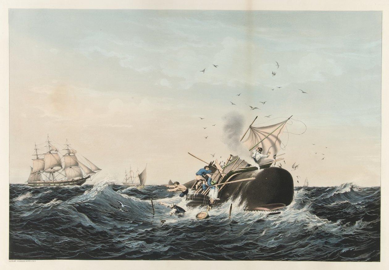 A pesca da baleia - a baleia de esperma Em um Flurry , bar. 1860 de American School