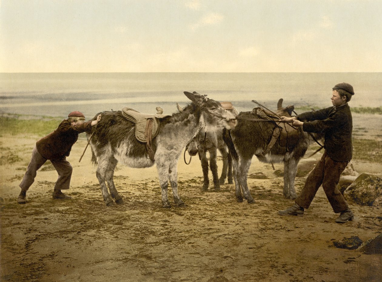 Burros na praia, bar. c.1890 - 1900 (cromolitógrafo) de English Photographer