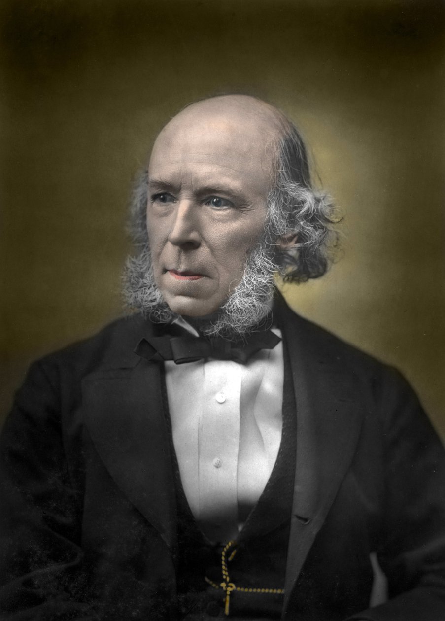 Retrato de Herbert Spencer de English School