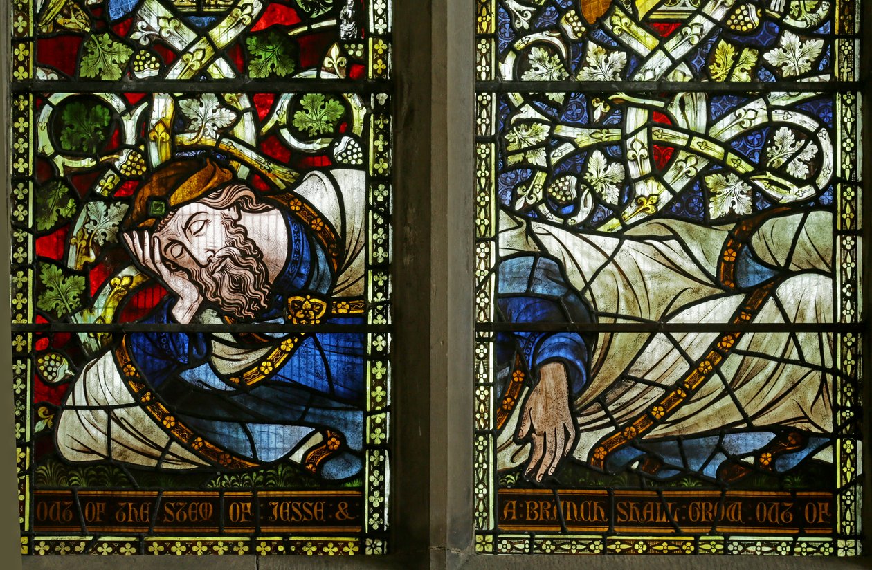 A árvore de Jessé: Jesse de English School