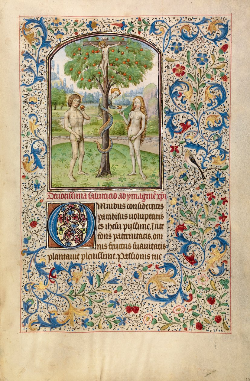 Adão e Eva Comendo o Fruto Proibido, início de 1460 (têmpera, folha de ouro e tinta em pergaminho) de Flemish School