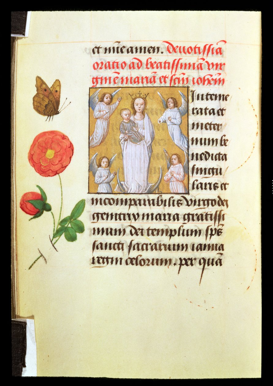 Virgem e Criança de Pé, Adored by Angels, c.1515-20 (pintura a têmpera e ouro em pergaminho) de Flemish School