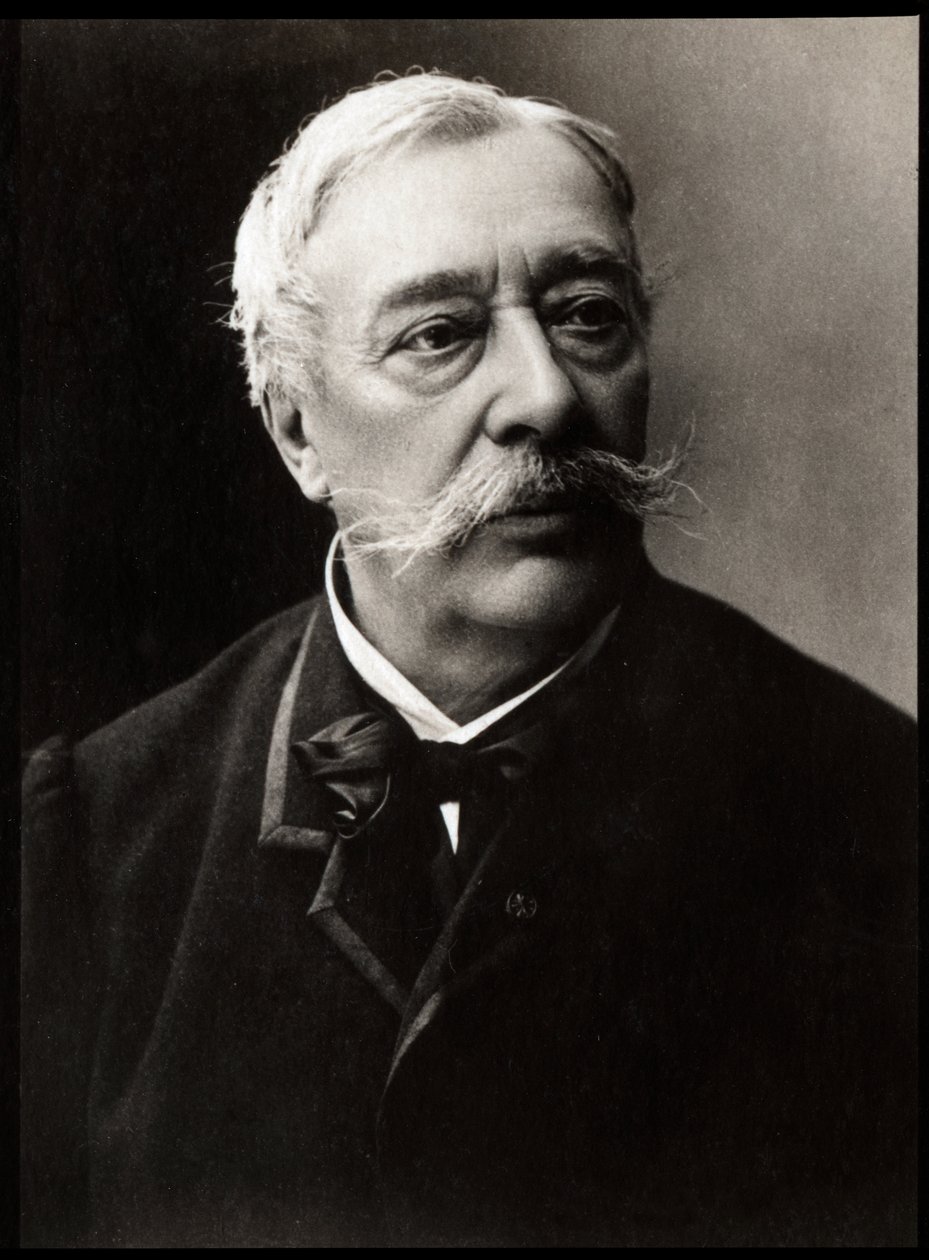 Retrato de Alfred Stevens (1823-1906), pintor francês. de French Photographer