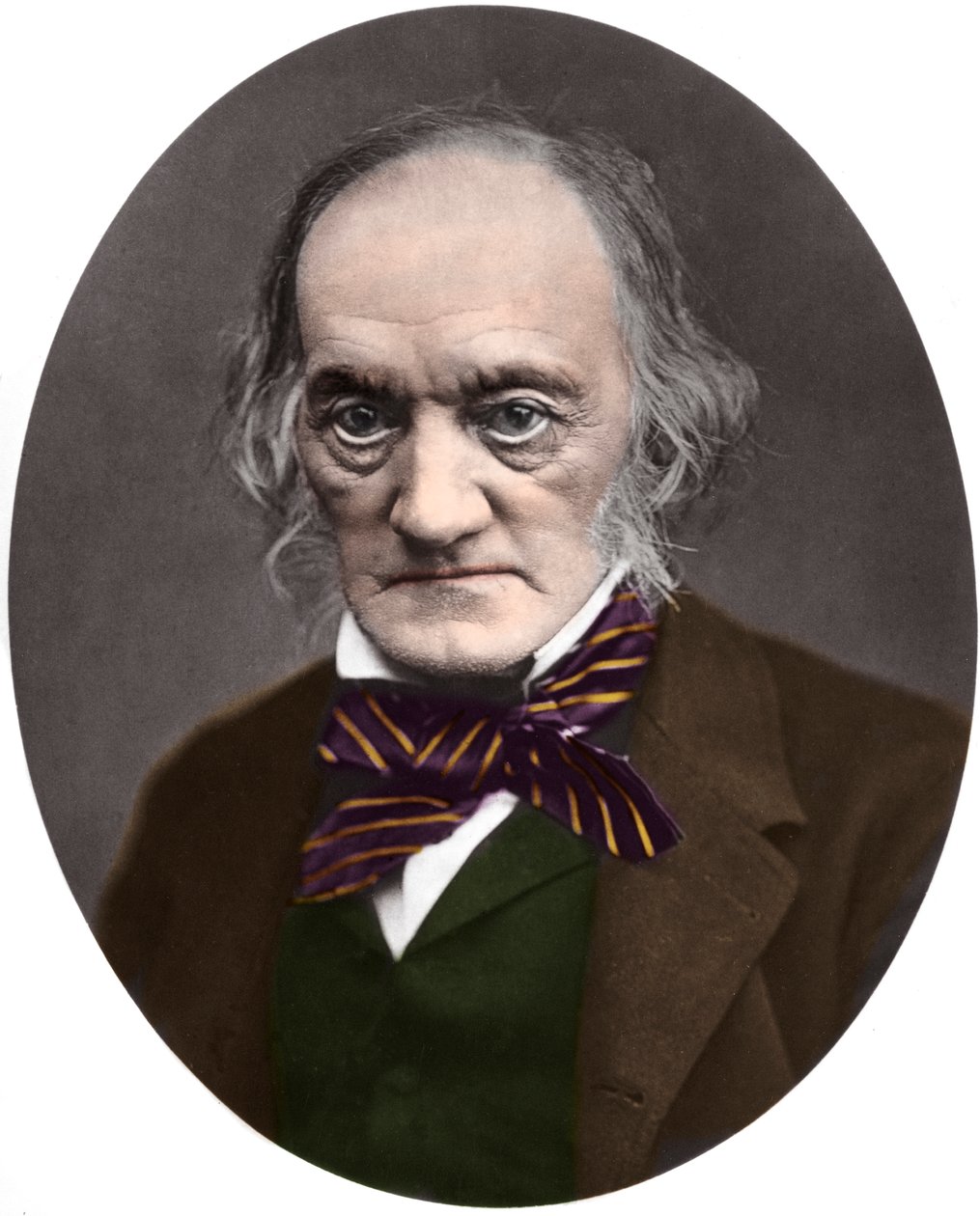 Retrato do paleontólogo e anatomista britânico Sir Richard Owen (1804-1892) de French Photographer