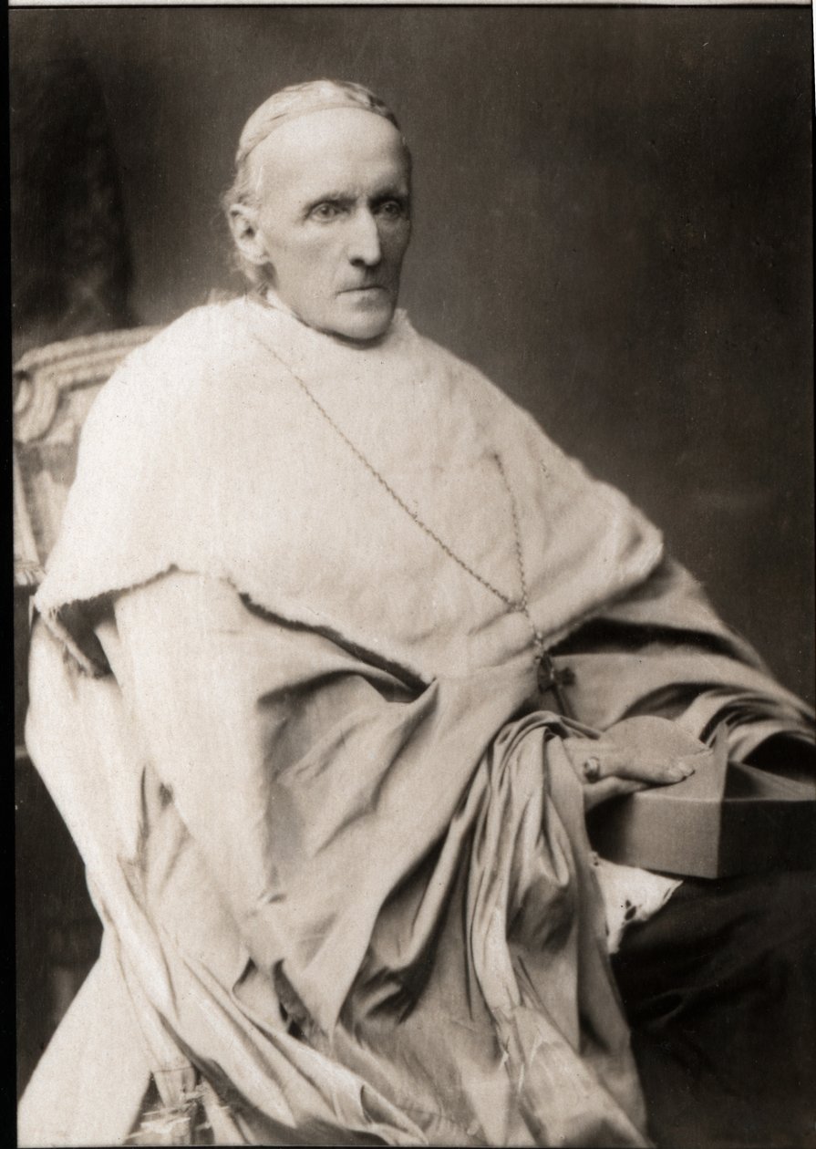 Retrato do Cardeal Henry Edward Manning (1808-1892) de French Photographer