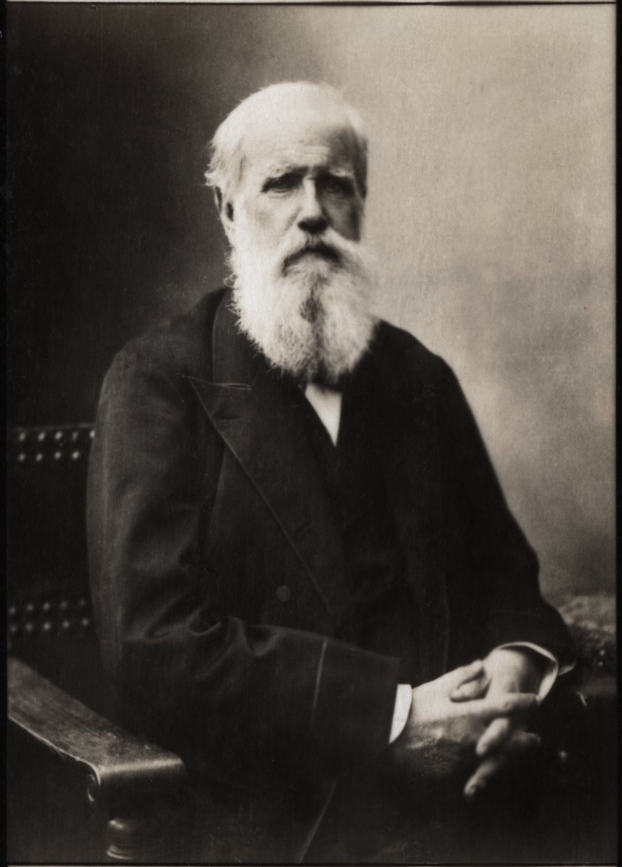 Retrato de Dom Pedro II (Pedro II) (1825-1891), Imperador do Brasil. de French Photographer