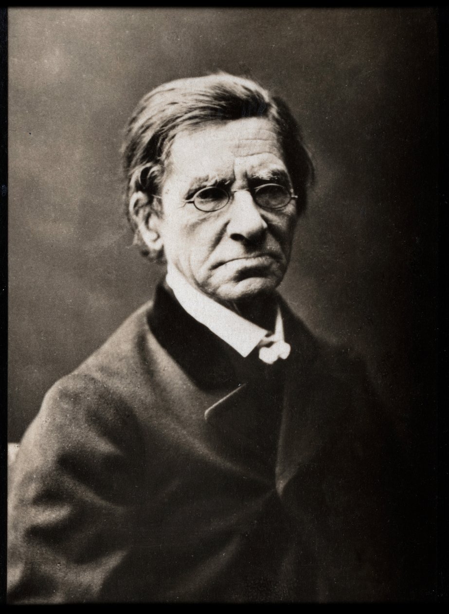 Retrato de Emile Littre (1801-1881), lexicógrafo e filósofo francês. de French Photographer