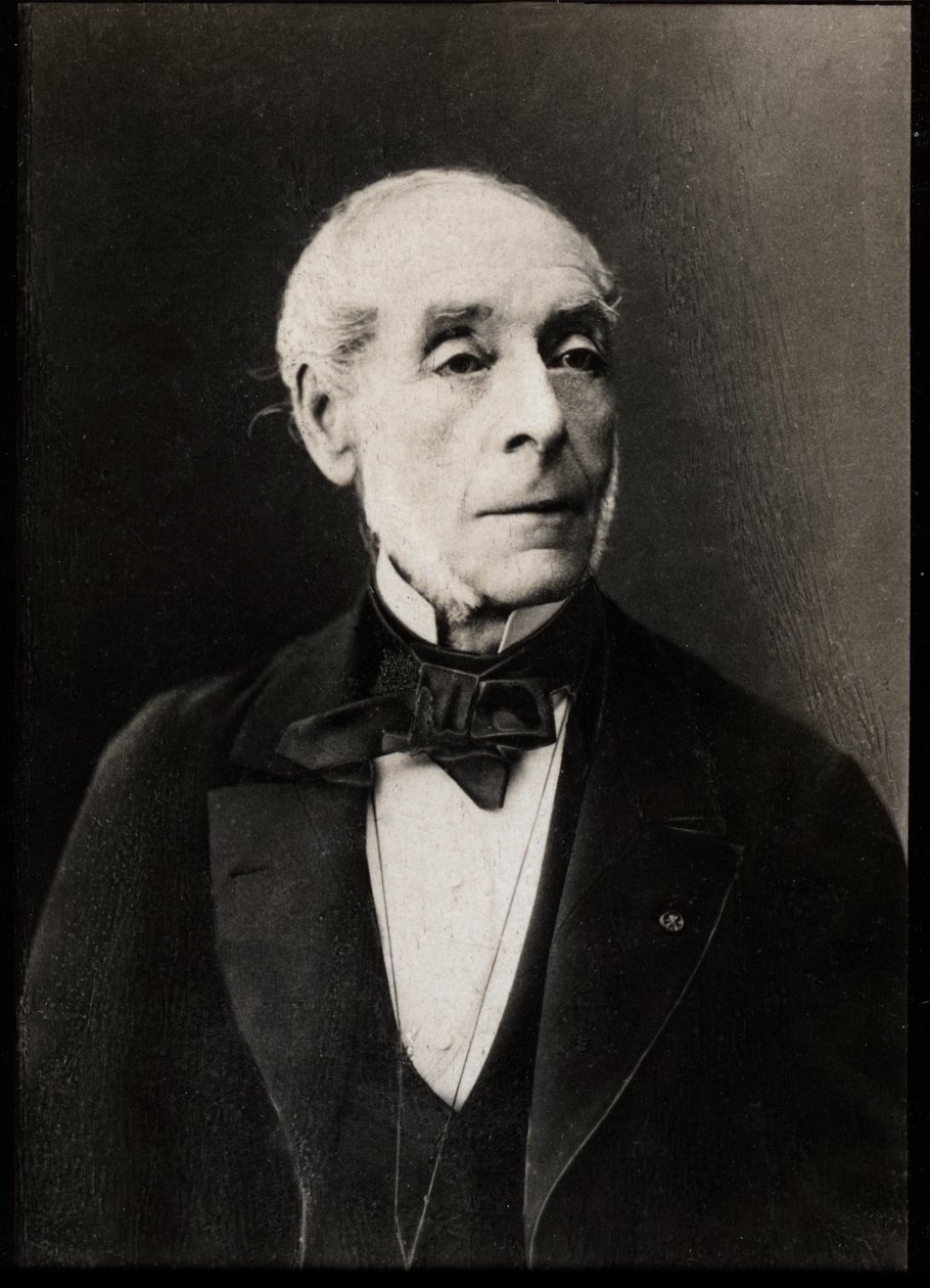 Retrato de Ernest Legouve (1807-1903), dramaturgo francês. de French Photographer