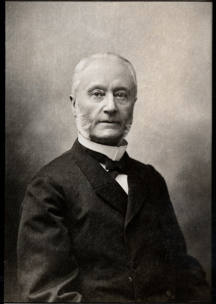 Retrato de Henri Barboux (1834-1910), advogado e político francês. de French Photographer