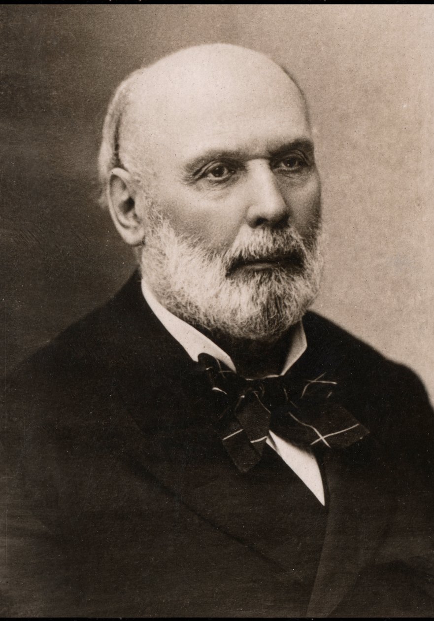 Retrato de Jules Grevy (1807-1891), político francês. de French Photographer