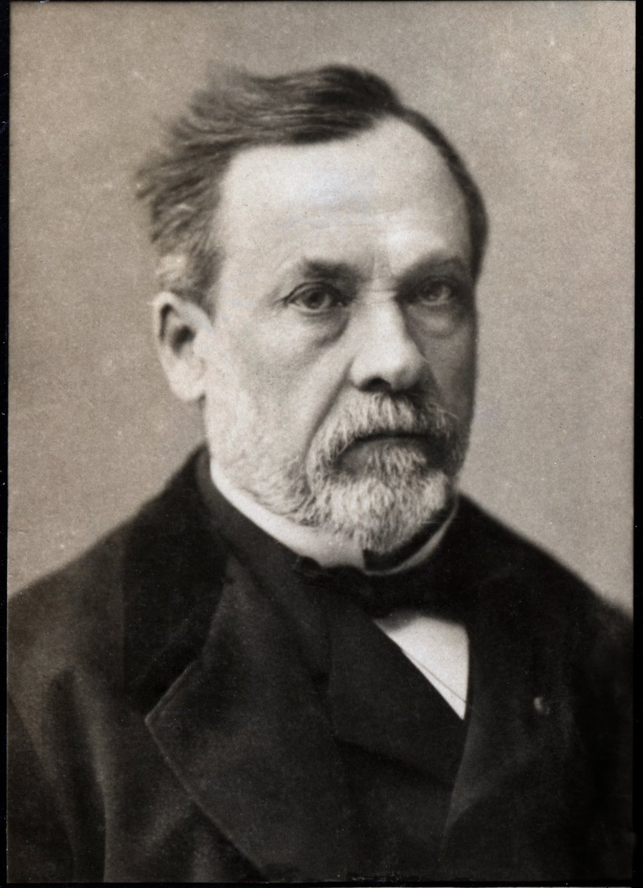 Retrato de Louis Pasteur (1822-1895), químico e microbiologista francês. de French Photographer