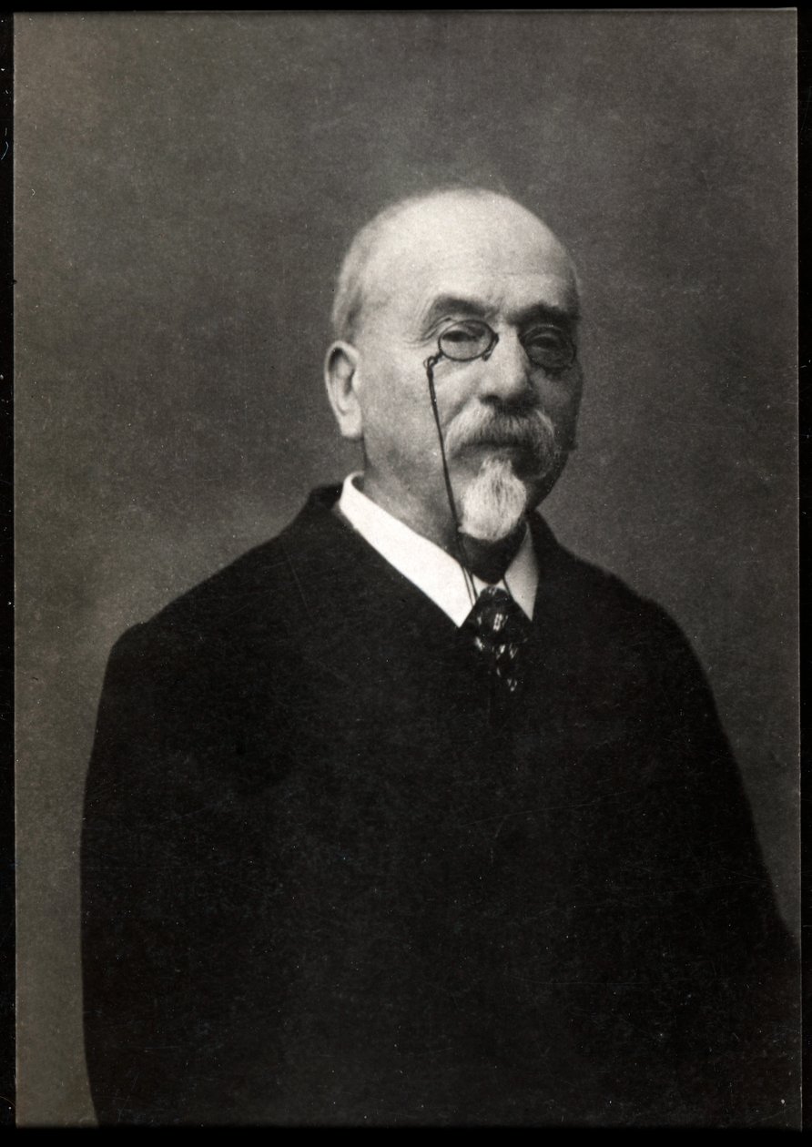 Retrato de Victor Cherbuliez (1829-1899), romancista e autor francês. de French Photographer