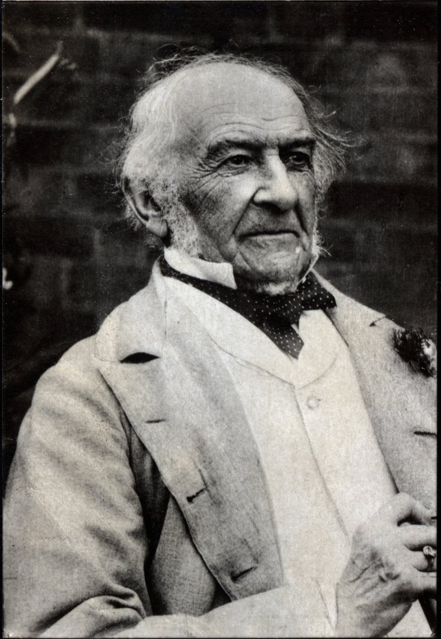 Retrato de William Ewart Gladstone (1809-1898), estadista britânico. de French Photographer