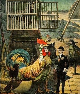 Chantecler, verso de Edmond Rostand, capa do Le Petit Journal, 30 de janeiro de 1910 de French School