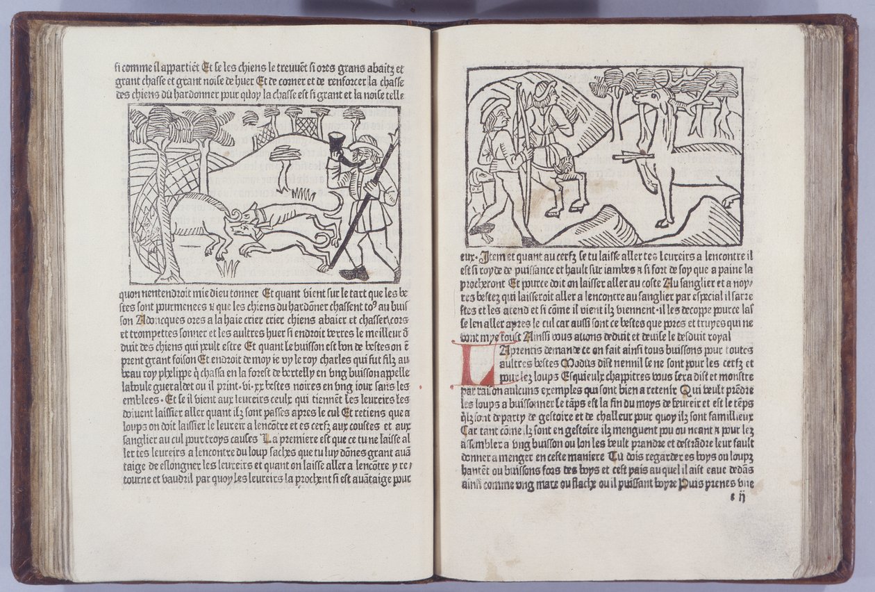 Ilustração de Roy Li Modus e de la Reine Racio de Henri Ferrieres, 1486 de French School
