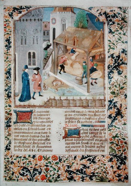 5064 fol.35r Threshing, de Livre des Prouffitz Champestres de Pietro de Crescenzi (1230-132021) de French School