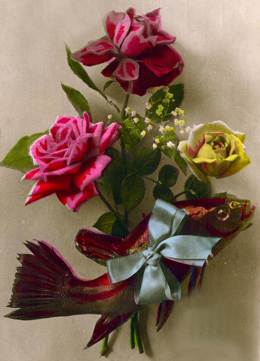 Rosas e um peixe embrulhado para presente c.1898 (foto colorida à mão) de French School