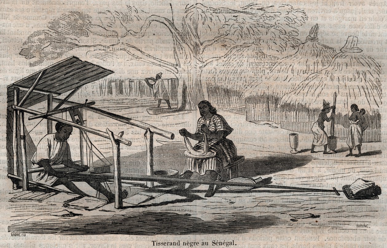 Tecelão preto senegalês de French School