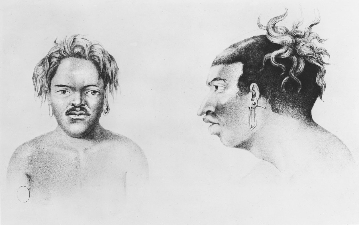 Tipos de Ilhéus, ilustração de Trip to South Pole e Oceania de French School