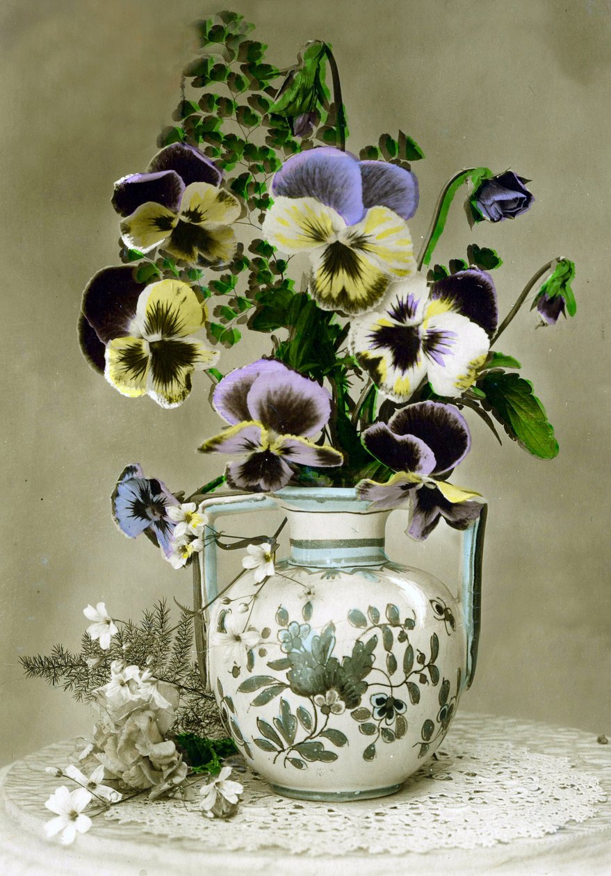 Vaso de Amores-perfeitos c.1898 (foto colorida à mão) de French School
