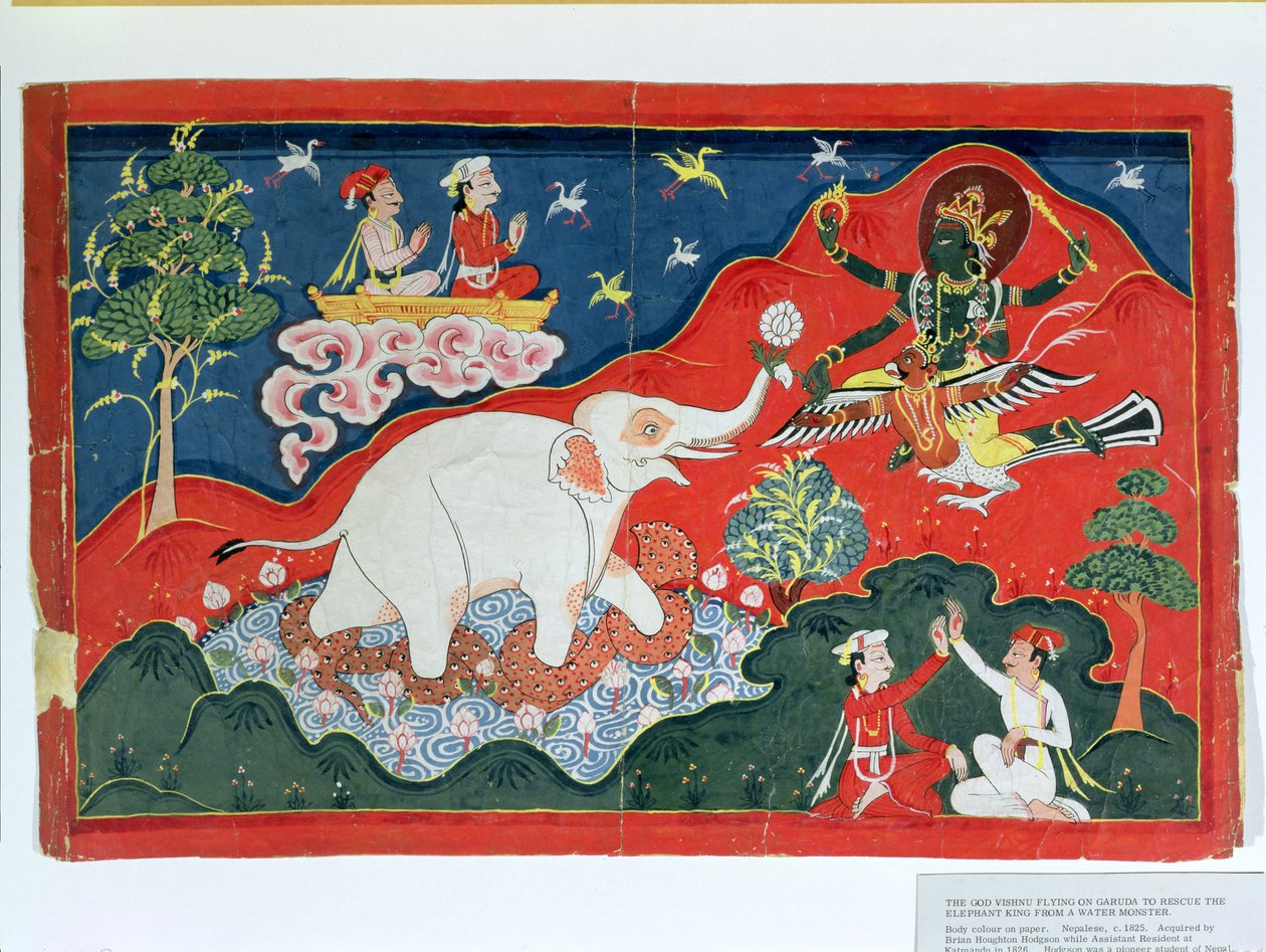 O Deus Vishnu Voando em Garuda para Resgatar o Rei Elefante de um Monstro da Água, Nepalês, c.1825 de Indian School
