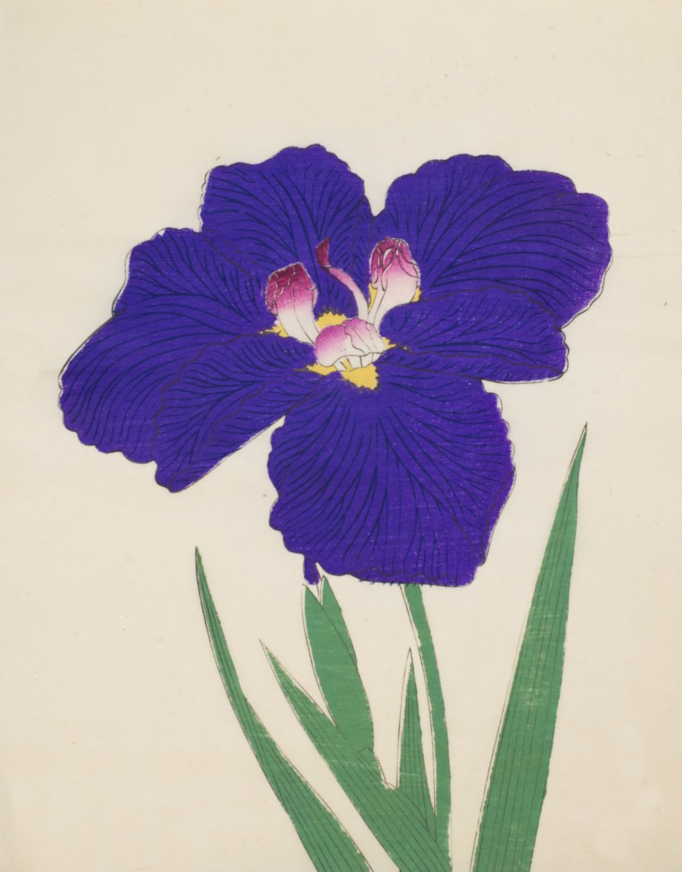 Shira-No-Tamoto, nº 49, 1890 (impressão em xilogravura a cores) de Japanese School