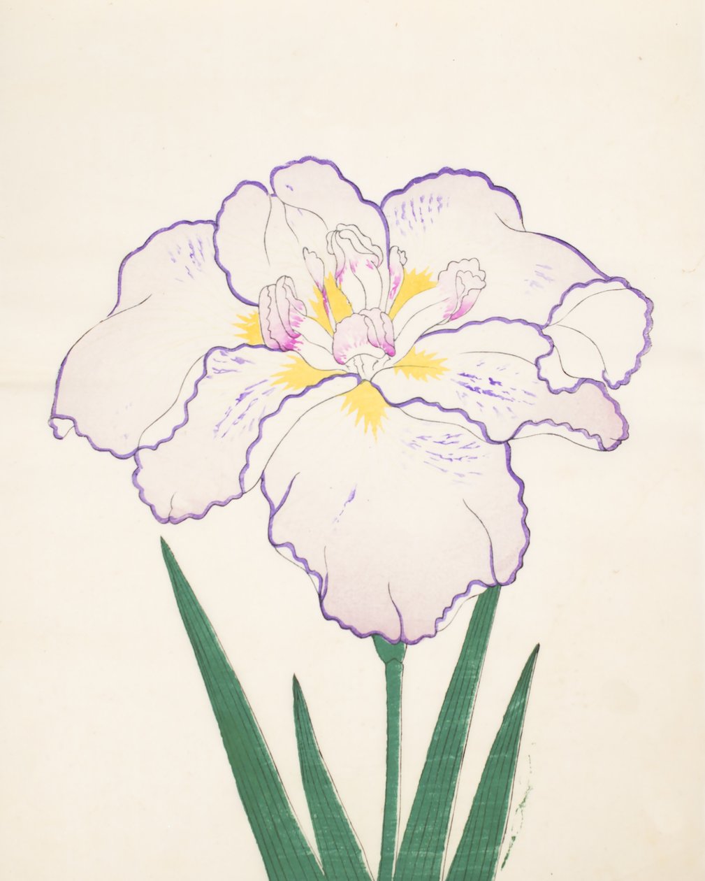 Tanporo, nº 51, 1890 (impressão em xilogravura a cores) de Japanese School