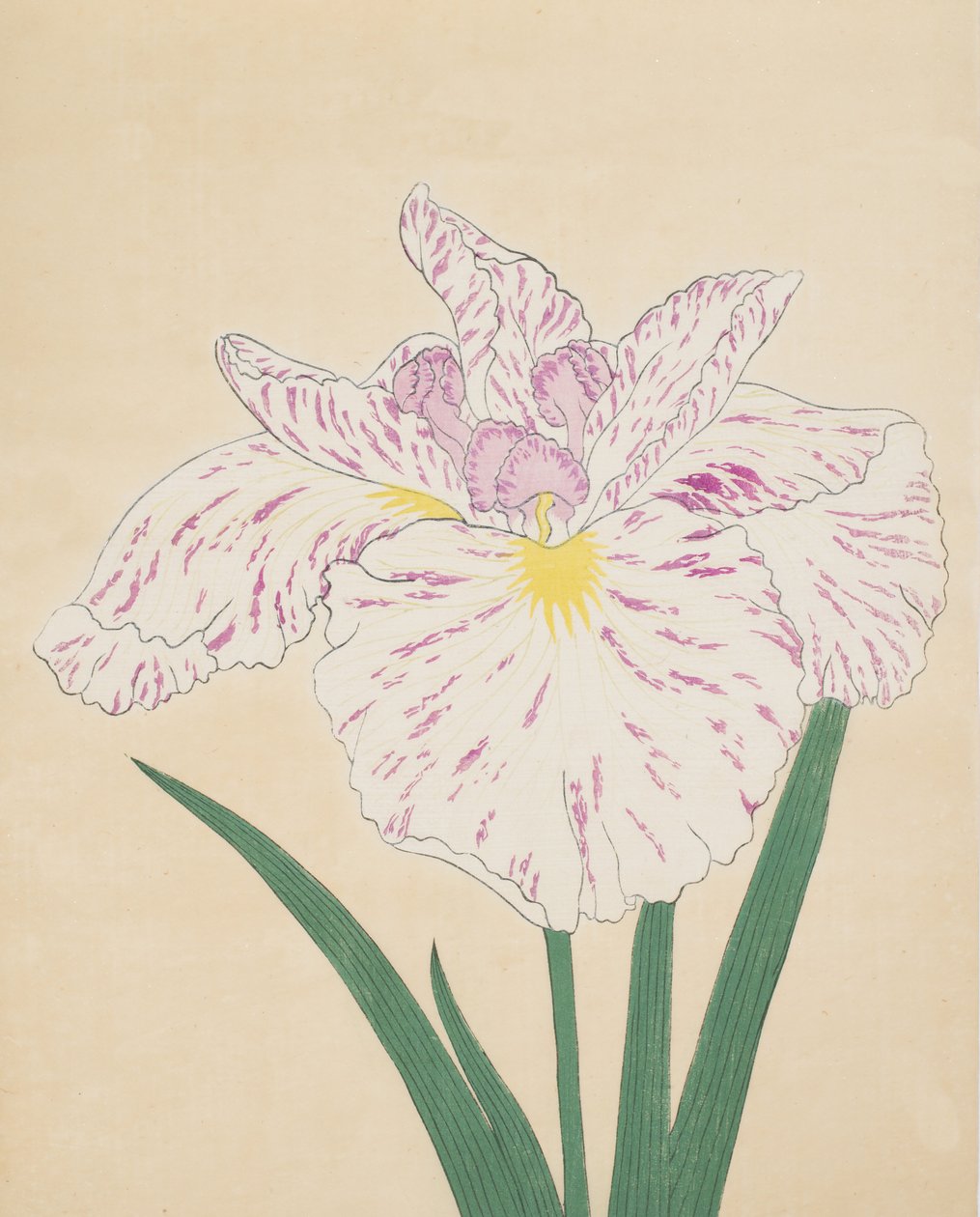 Uji-No-Kawagiri, nº 55, 1890 (impressão em xilogravura a cores) de Japanese School