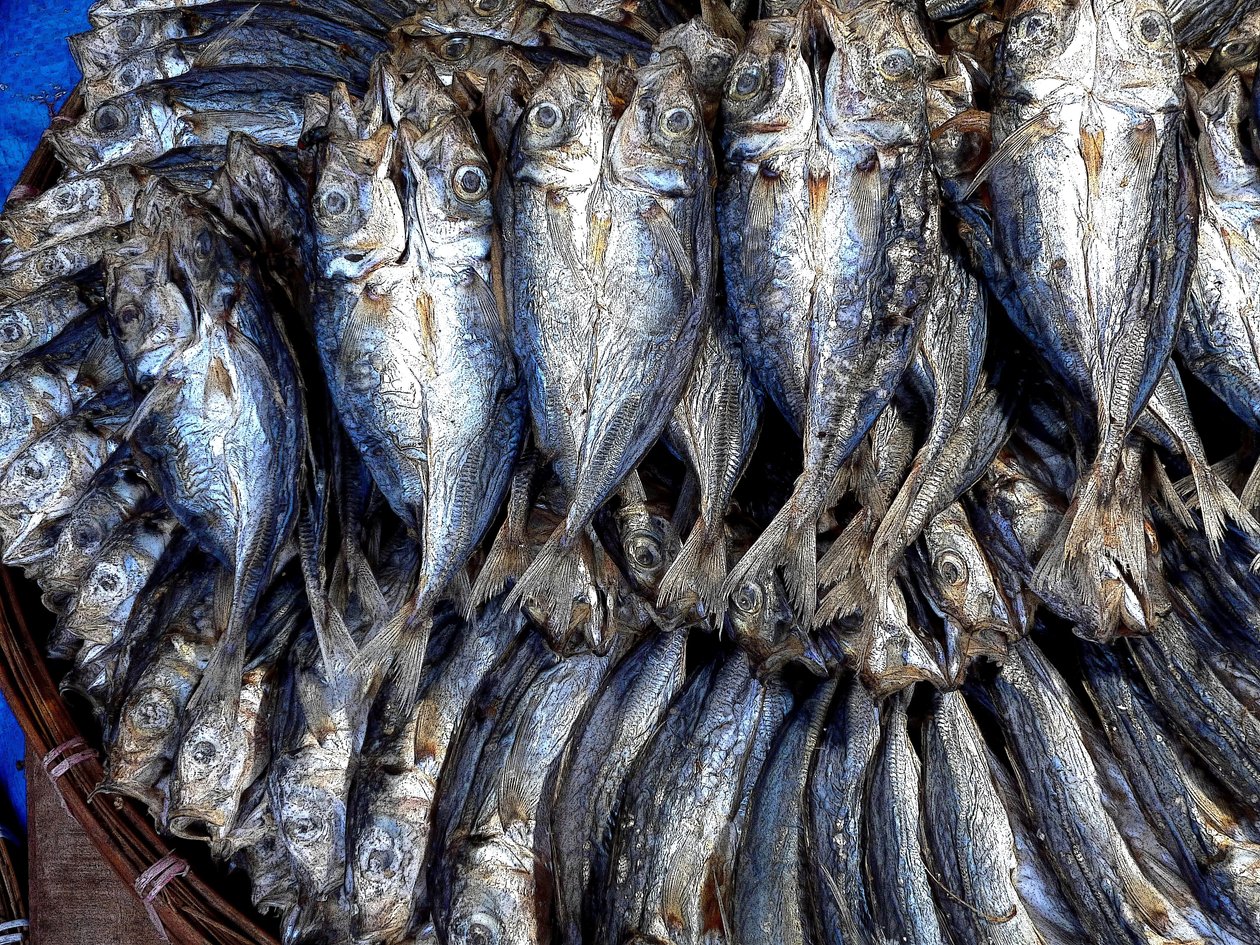 Peixe seco de Detlef B. Fischer