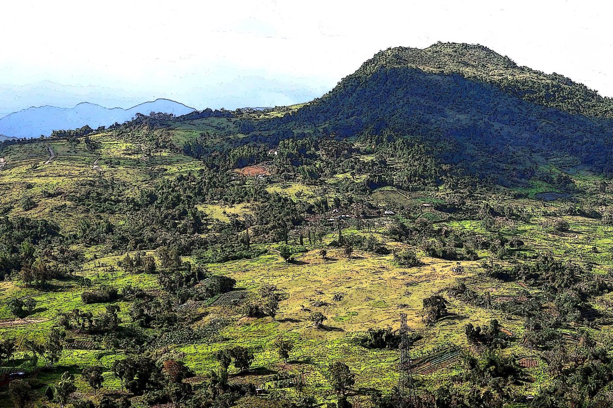 Cebu Hills de Detlef B. Fischer